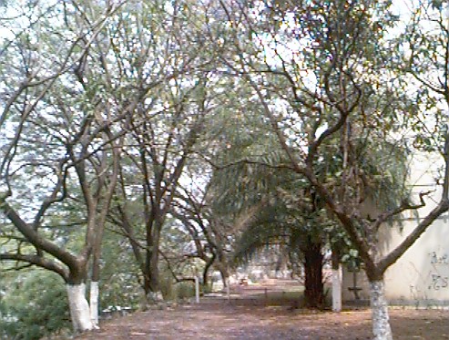foto23.jpg (96752 bytes)